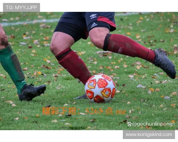 开云体育网页版提供便捷的在线体育赛事直播与投注体验，满足用户多样化的娱乐需求