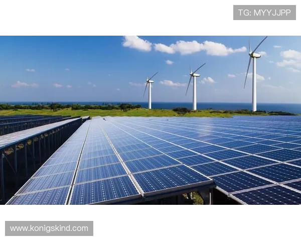 探究开云体育在线地址背后的技术支持与保障