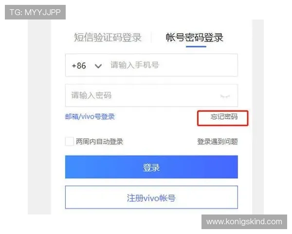 开云网官方网站登录流程详解及常见登录问题解决方案