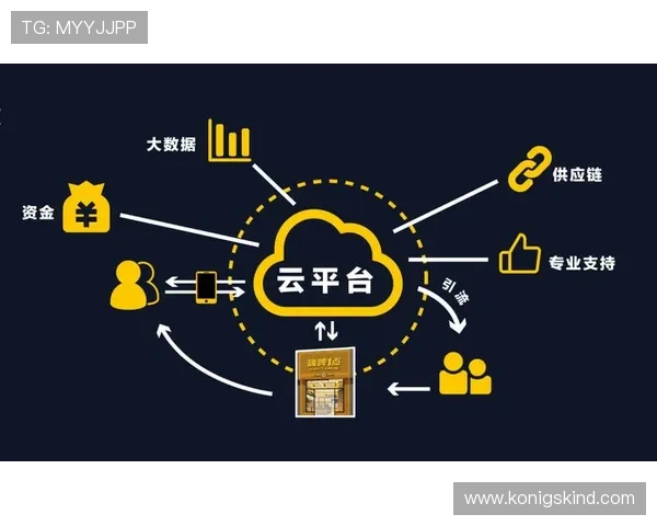云体育官网平台的盈利模式分析，探讨广告、会员和赛事转播等多元化收入渠道