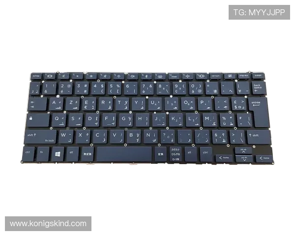 开云Kaiyun网站登录入口最新指南，帮助玩家快速安全登录体验优质游戏服务